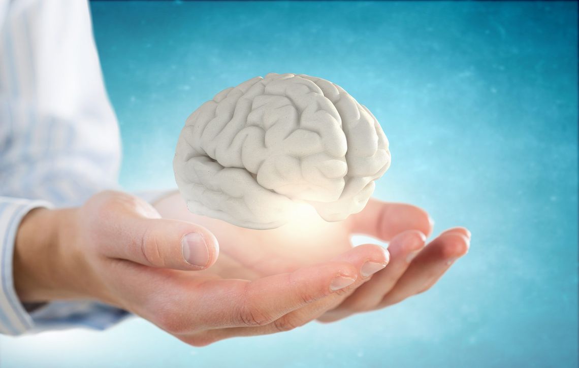 El estudio desafió creencias establecidas sobre la grasa y la salud cerebral. El estudio desafió creencias establecidas sobre la grasa y la salud cerebral.