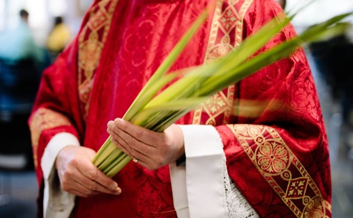 El Domingo de Ramos da comienzo a la Semana Santa 