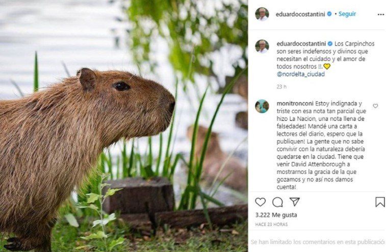 Eduardo Constantini defendió a los carpinchos en sus redes sociales.