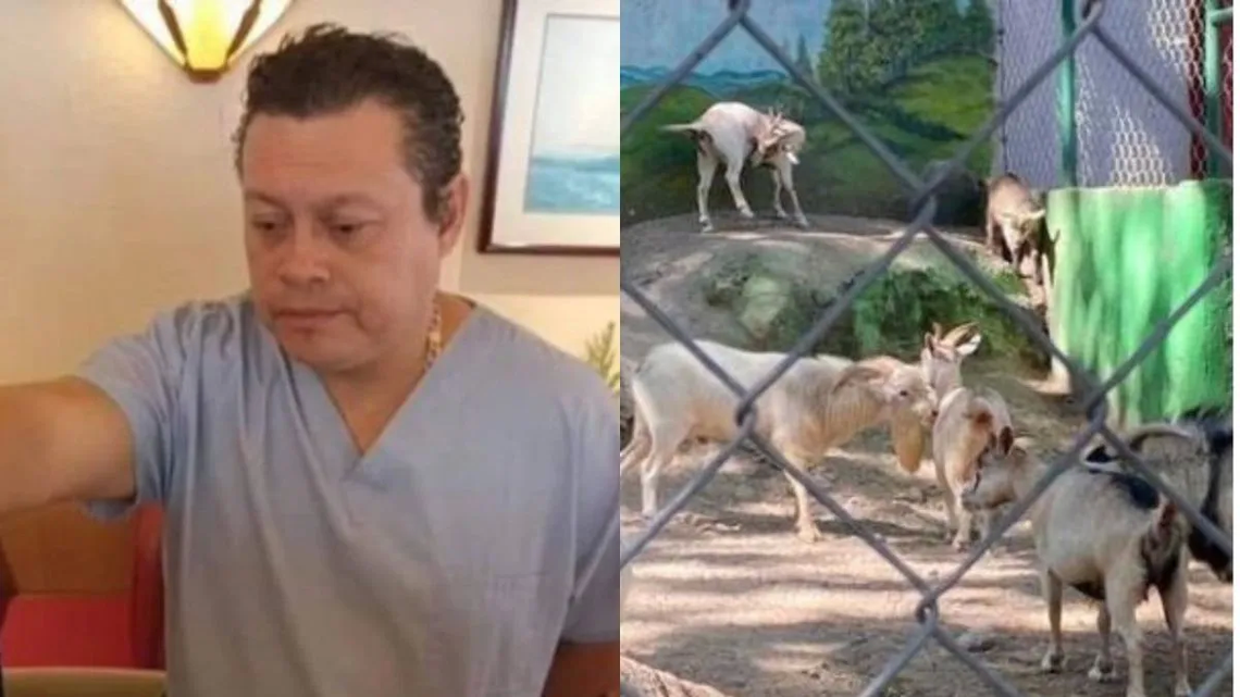 México: despiden al jefe de un zoológico por vender y cocinar animales.