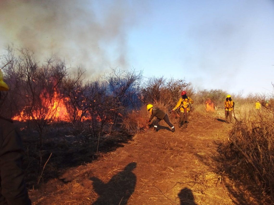 Incendios forestales en el norte de Córdoba. 