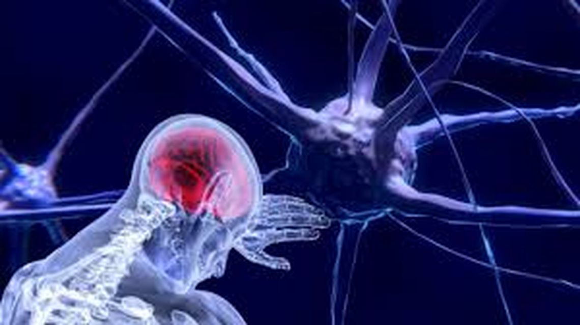 El virus de Epstein-Barr podría ser causa principal de la esclerosis múltiple. 