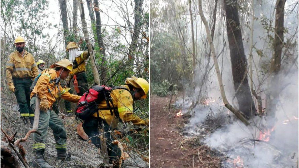 Jujuy: Los Incendios Forestales Ya Arrasaron Casi Mil Hectáreas Del ...