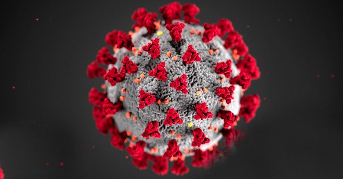 El origen del coronavirus es natural, afirma la OMS