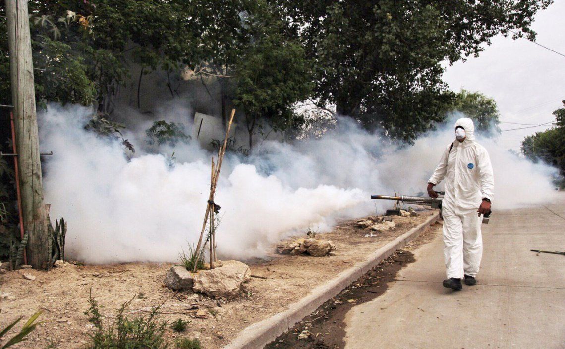 El Municipio realizó tareas de fumigación en Bernal Oeste