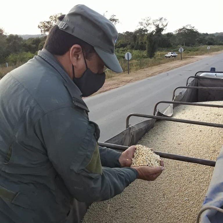 Corrientes: Gendarmería decomisó 451 toneladas de soja y 28 de maíz –  CONCORDIA345