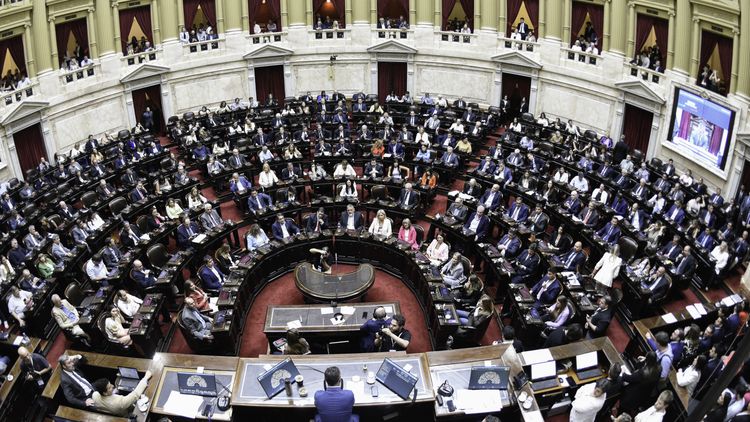 Diputados aprobó la emergencia del Garrahan y el Financiamiento Universitario