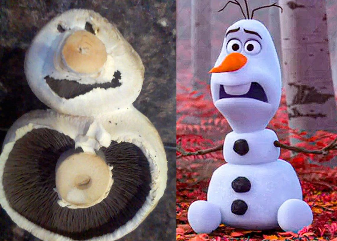 Una mujer encontró un hongo igual a Olaf, el muñeco de nieve de Frozen