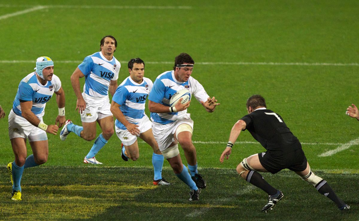 Denuncian la falta de pago de un impuesto del partido Pumas - All Blacks