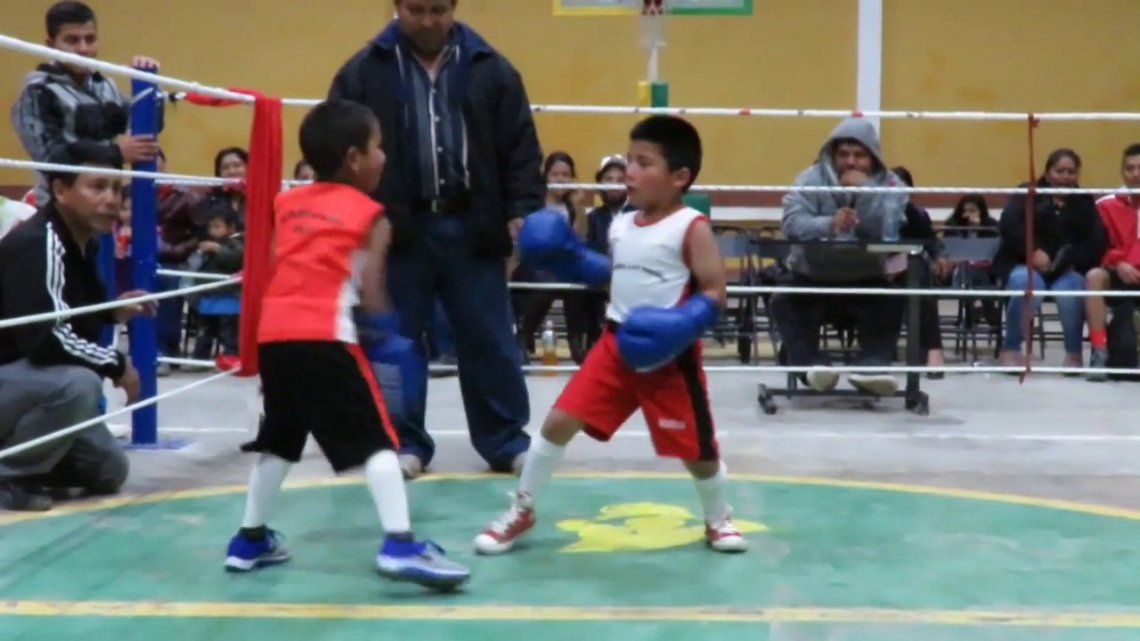 Boxeo infantil 