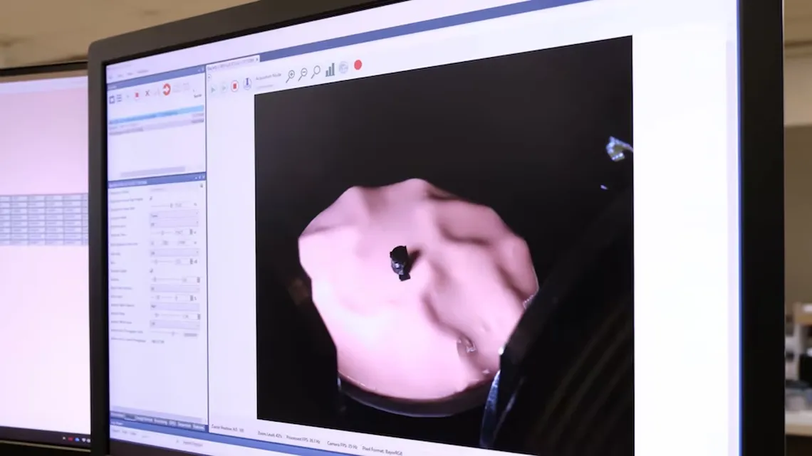Las pruebas en laboratorio demostraron su eficacia en tejidos biológicos. Las pruebas en laboratorio demostraron su eficacia en tejidos biológicos.