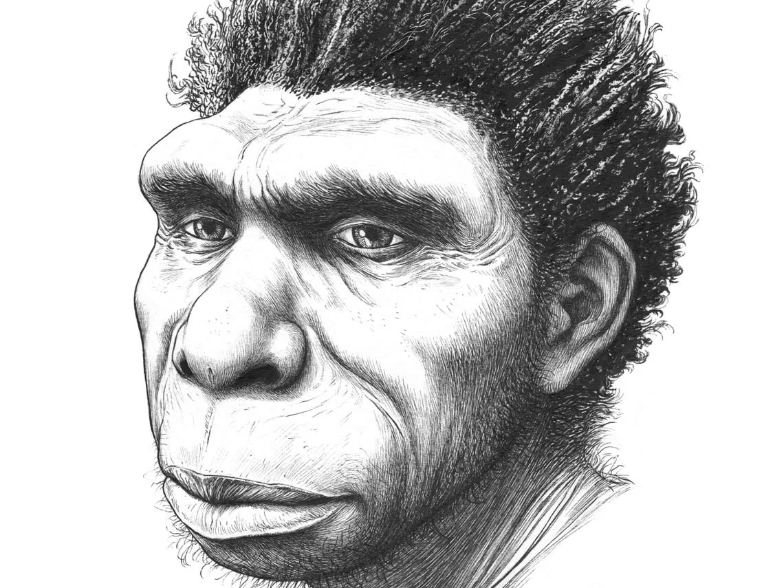 Homo bodoensis, una nueva especie de humano primitivo que vivió hace 500.000 años