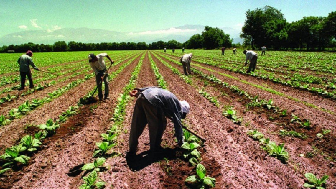Los trabajadores rurales cobrarán un bono de fin  de año en tres cuotas