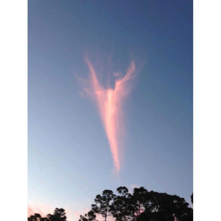 ¿Milagro de Francisco? Nube con forma de ángel tras el anuncio