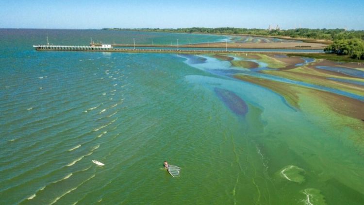 El mapa oficial actualizó a 13 los puntos bajo alerta por cianobacterias en la provincia, con una zona en nivel rojo y varias en advertencia naranja por riesgo sanitario.