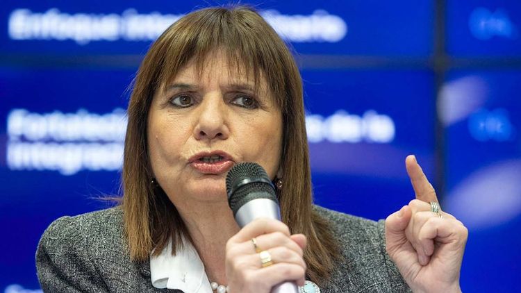 Patricia Bullrich, senadora nacional La Libertad Avanza.&nbsp;