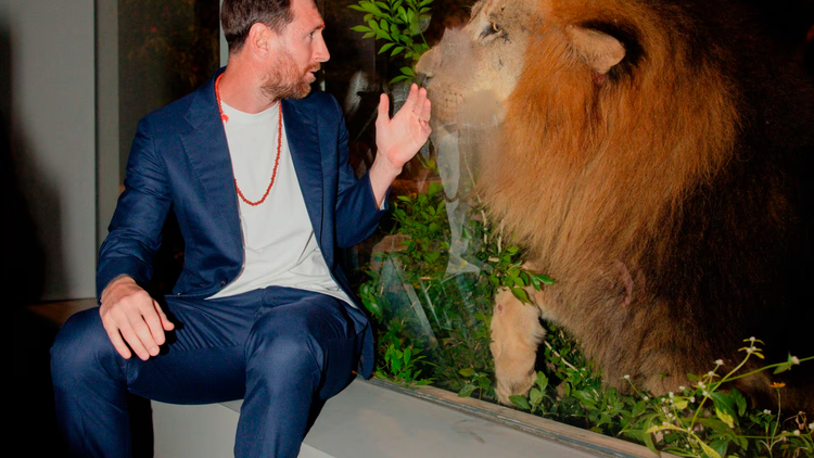 El encuentro amistoso de Leo con un León.
